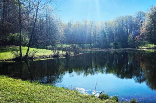Picket Pond in Spring